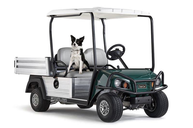 La présence des chiens sur les terrains de golf : Avantages et inconvénients